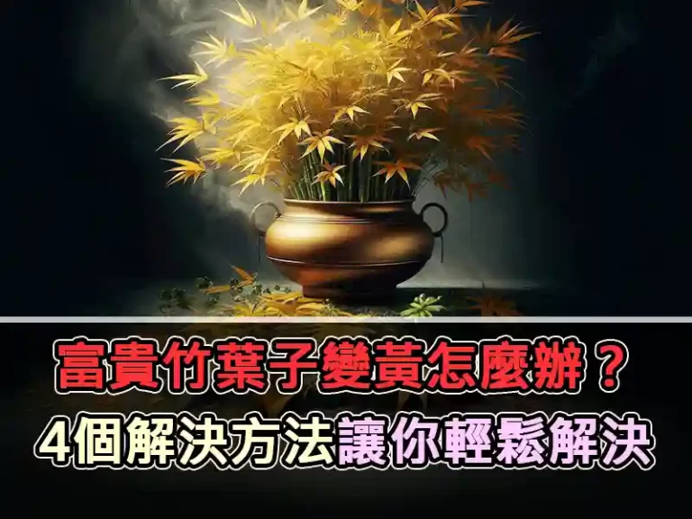 富貴竹葉子變黃怎麼辦?4個解決方法讓你輕鬆解決