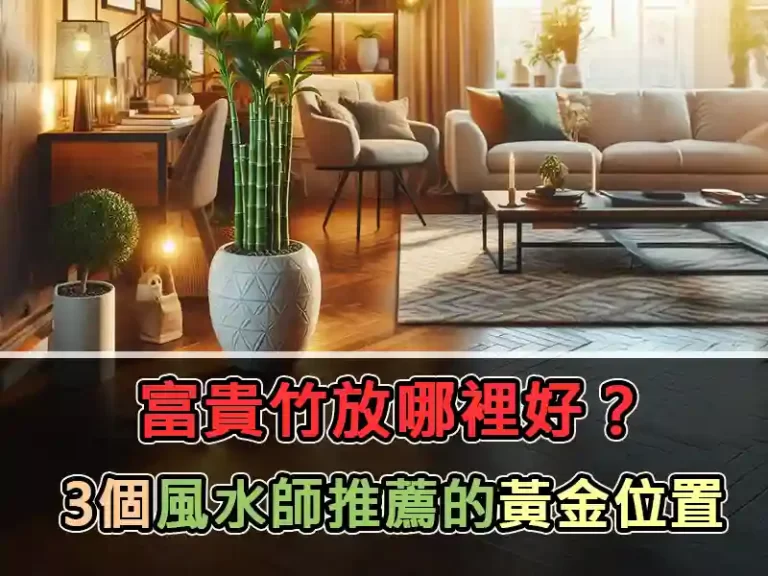 【2025必看】富貴竹放哪裡好？7個風水師推薦的黃金位置